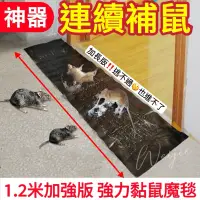 在飛比找蝦皮購物優惠-加長型‼️黏鼠板【台灣賣家】老鼠板 捕鼠器 強力黏鼠地毯 老