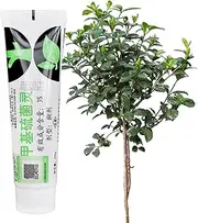 Tree Wound Dressing - Tree Wound Repair Dressing Agent | Garden Bonsai Supplies for Air Layering Deadwood Carving Trunk Chop Healing