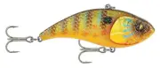 Road Runner Ikari 1/2 Pumpkin Seed Sunfish Fishing-Equipment
