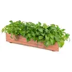 Raised Garden Bed Planting Container Wooden Planter Box Indoor & Outdoor