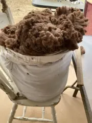 Raw Alpaca Fleece - natural Brown