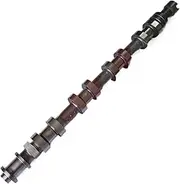 D19 Intake Exhaust Camshaft Compatible with Jac T6 Sollers ST6 Pickup 2.0 Yunnei Engine X10002393 X190727 X10015620 X190726(Intake X10002393)