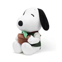 在飛比找Yahoo!奇摩拍賣優惠-韓國 snoopy garden史努比peanuts濟州島玩