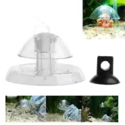 Clear Snail Catchers Aquariums Snail Traps Catchers Aquariums Accessory