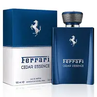 在飛比找Yahoo!奇摩拍賣優惠-【Orz美妝】Ferrari  藍木 男性淡香精 100ML