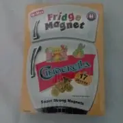 Vintage CINDERELLA Fridge Magnets Small World Toys Super Strong 17 Pcs Box NEW