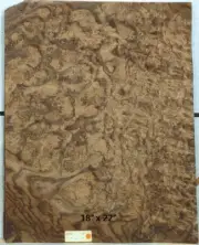 Walnut Burl wood veneer 18" x 22" raw no backing 1/42" thickness AAA grade #138