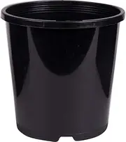 Decor Growers Indoor Seedling Plant Pot, Black, 100 mm Size, 10 Piece