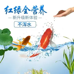 通用型混合龍魚金魚飼料小包小金魚紅鯉魚錦鯉鱔魚彩色大號草魚包