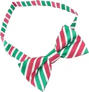 [Holibanna] 1Pc Patrick's Day Festival Bowtie Decorative Party Accessory for Celebrations Lightweight and Comfortable Design Patrick's Props for Fun Events