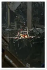 World Trade Center 9/11 Rescue Dog In Transport Silver Halide Photo - Ver 1