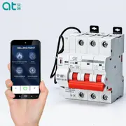 Tuya WIFI Circuit Breaker Smart Life APP Timer Remote Control Wireless Intelligent Automatic Smart Switch 63A Type 3