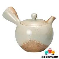 在飛比找蝦皮商城精選優惠-【日本熱賣】日本製 灰釉米白茶壺 日式茶壺 茶器 茶具 不鏽