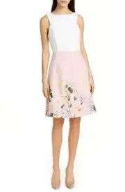 New Ted Baker London Kalla Elegance Colorblock DressTed's Size 2