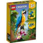 【LEGOVA樂高娃】LEGO 樂高 CREATOR 31136 異國鸚鵡 全新未拆 現貨