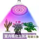 植物燈 植物補光燈仿太陽全光譜 室內花卉多肉上色防徒長 led植物燈 家用 雙十二特惠 聖誕節交換禮物