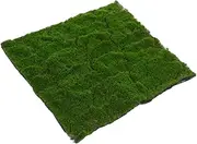 ibasenice Artificial Moss for Crafts Realistic Fake Grass for Fairy Garden Decor High Realism Simulation Plant Versatile Decoration for Spaces Lifelike Moss Turf for Home Projects