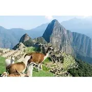 Save 5.00%! Excursion to Machu Picchu from Cusco & lunch || Private Service||