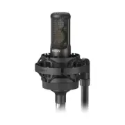 SONY C100 Dual Diaphragm Studio Condenser Mic with Shockmount, Windscreen, Case