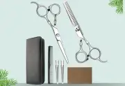 Professional Hair Cutting Scissors Kit - Silver - Barber Thinning Shears + Comb