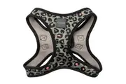 Savanna XX-Small Step-In Dog Harness by FuzzYard - 34 to 36cm Neck & 39 to 41cm Chest