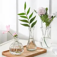在飛比找ETMall東森購物網優惠-水培創意玻璃花瓶水仙花植物水培容器插花瓶綠蘿透明花盆風信子瓶