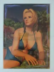 Tina bikini B5 clear file (Dead or Alive Xtreme, Famitsu Xbox) plastic folder