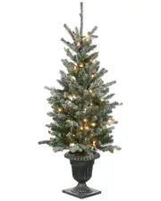 National Tree Company 4Ft Snowy Morgan Spruce Entrance Tree With Twinkly Led Lights