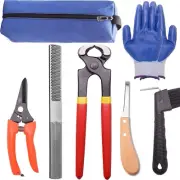 8 Inch Farrier Tool Kits （7 Piece） Mini Rasp Hoof File Goat Pig Equine Metal ...