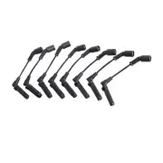 ACEON Spark Plug Wire Set For 2003-2006 Chevrolet SSR 6.0 V8 2P7F1 (for: Chevrolet)