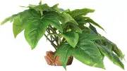 Reptile Plants for Terrarium, Ball Python Tank Decor Accessories Fit Bearded Dra