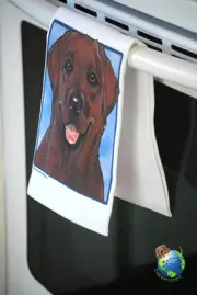 Chocolate Labrador Kitchen Hand Towel