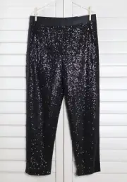 CHICO'S NWT $119 Relaxed Sequin Embellished Dress Pants Size 1 US 8 Medium