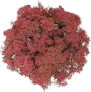 uxcell Preserved Reindeer Moss, 7oz Fake Moss for Crafts Artificial Dried Moss for Decoration Terrariums Potted Plants, Dark Red
