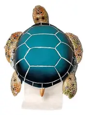 Large SEA TURTLE Toilet Paper Holder and Cover, by DeLeon Collections