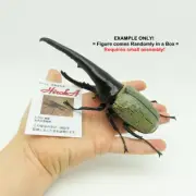 One RANDOM Dango Mushi Hercules Dynastes Large Beetle 1/1 scale Figure SO-TA