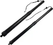 Rear Left/Right Tailgate Power Support Struts,Compatible With Lexus RX200T RX450H 68920-48030 6892048031 6891048071 6891048070(1 Palr)