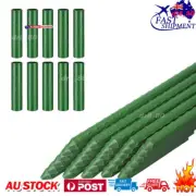 Horticultural Plastic-Coated Bracket Plant Pillar Grapevine Cucumber Frame Spli+