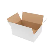 20x Mailing Box 270 x 200 x 95mm Regular White for 3kg Large Satchel B42