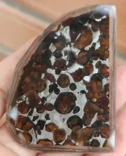 28G SERICHO pallasite Meteorite slice from Kenya