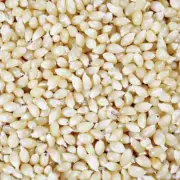 Amish Country White Baby Butterfly Popcorn Kernels / 50 lbs