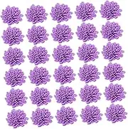 100Pcs Pe Chrysanthemum Aroma Flowers for Essential Oil Diffusers Scented Floral Accessories for Home Air Freshening and Decor for Aromatherapy and Giving