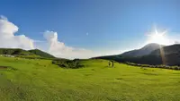 在飛比找雄獅旅遊優惠-台北-擎天崗,冷水坑,大屯山自然公園,小油坑| 包車一日遊