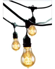 15-Light Outdoor String Light