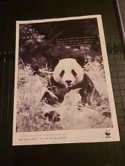 World Wildlife Fund 2007 Print Ad 8x11 Great To Frame