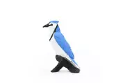 Blue Jay, Bird, Nice Plastic Reproduction 2 1/2" F3388 B27