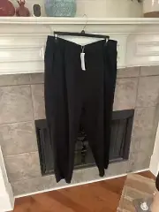 NWT Eileen Fisher Black Tencel Soft Twill Pleated Pant Size 1X $148