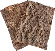 DOITOOL 2PCS Cork Terrarium Background 11.8x7.9in Reptile Bark Cork Wood Bark Terrarium Decor Reptile Climbing Mat Habitat Decor for Beared Dragon Lizard Geckos Spider Turtle