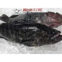 在飛比找蝦皮購物優惠-【海鮮7-11】龍虎石斑 三去     600-700g /