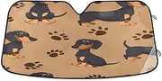 Car Sunshades for Windshield Cute Dachshund Dogs Foldable Sunshade for Car Windshield, Car Windshield Cover, Car Front Window Cover (M)